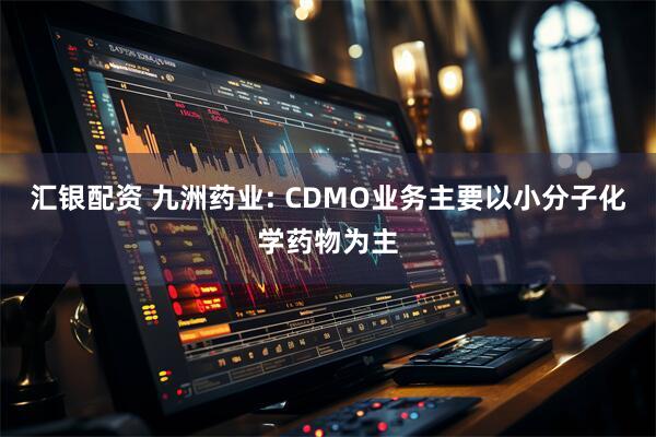 汇银配资 九洲药业: CDMO业务主要以小分子化学药物为主